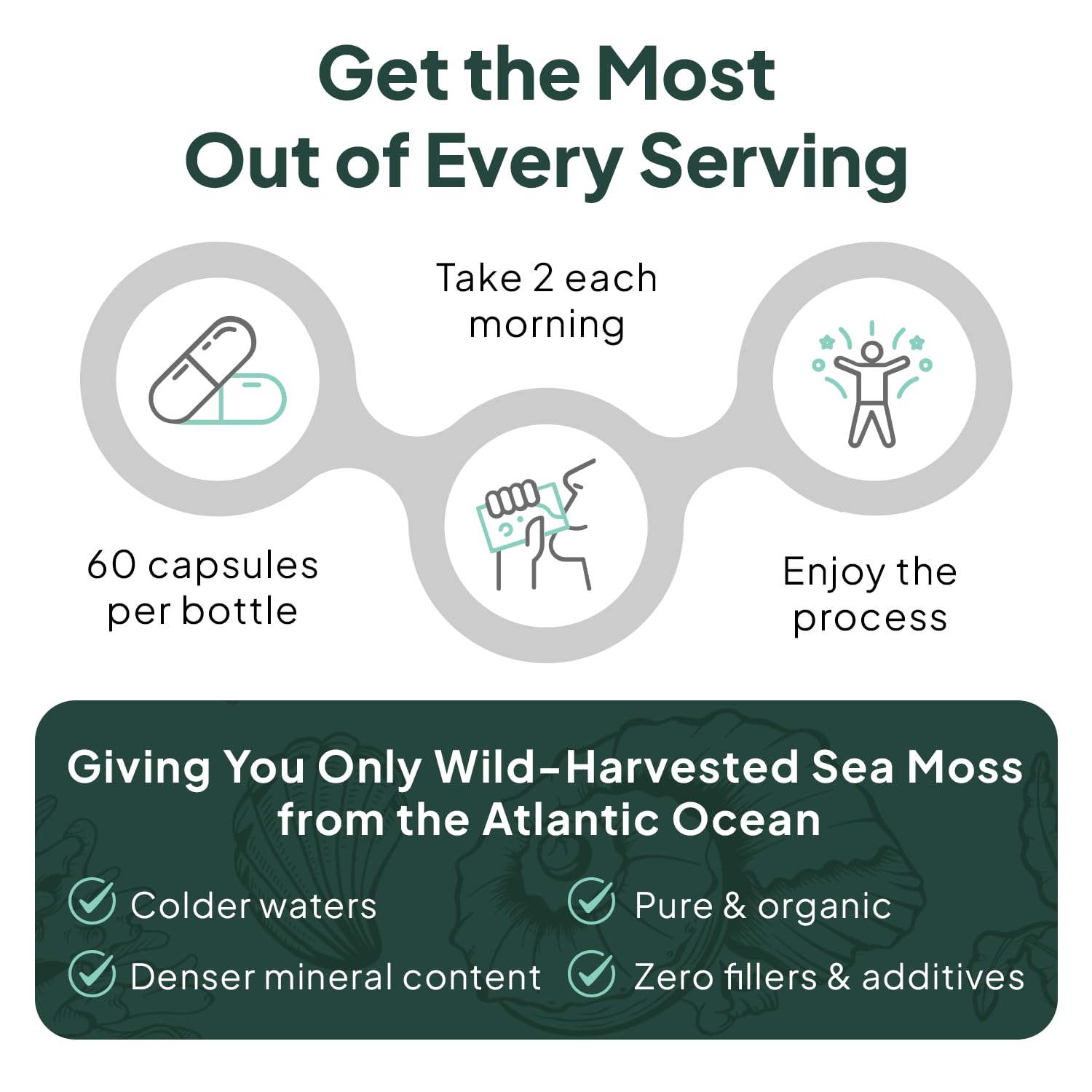 Sea moss capsules with bladderwrack and chlorella combo from Organics Ocean