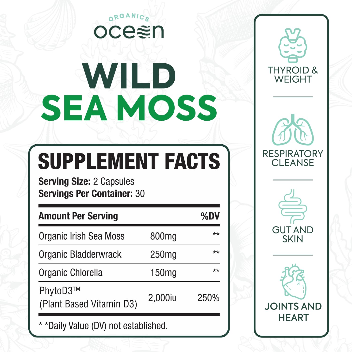 Close-up of Organics Ocean sea moss capsules with bladderwrack and chlorella