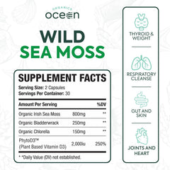 Close-up of Organics Ocean sea moss capsules with bladderwrack and chlorella