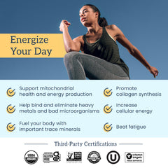 Two Organifi Shilajit Gummies serving illustrates simple daily dose