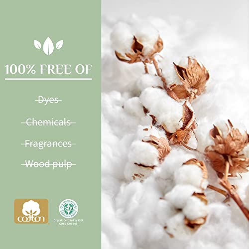 Organyc ph-balanced overnight pad supports sensitive skin with gentle protection.