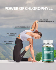 ORGMO spirulina-chlorella-ACV blend highlighting plant-powered ingredients.