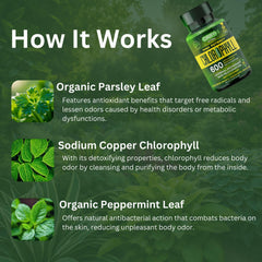 Orry's Vital chlorophyll capsules closeup emphasizes vegan formula for body odor reduction.