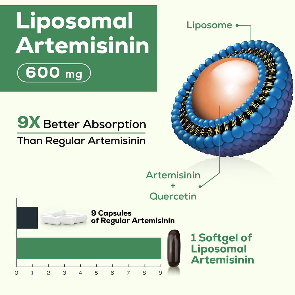 Osasuna green tea extract label shows additional natural compounds supporting daily wellness