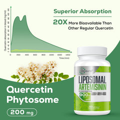 Osasuna turmeric extract cap closeup demonstrates a flavorful blend integral to the formula