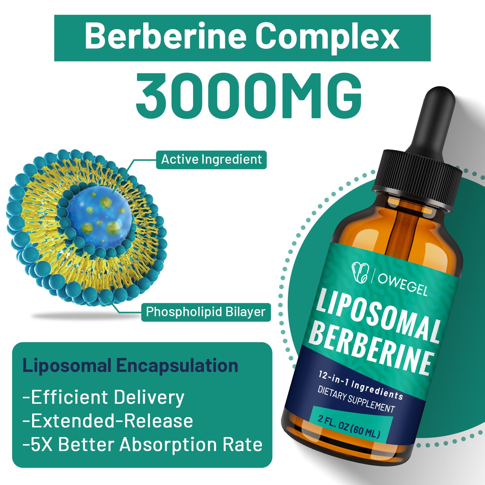owegel berberine hcl liquid drops closeup label liposomal technology visual cue