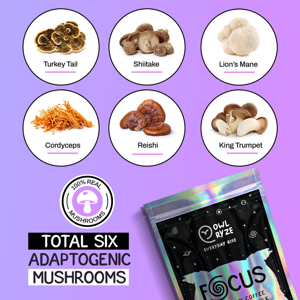 OWL RYZE Mushroom Coffee Focus close-up mushrooms highlighting fruiting body quality.