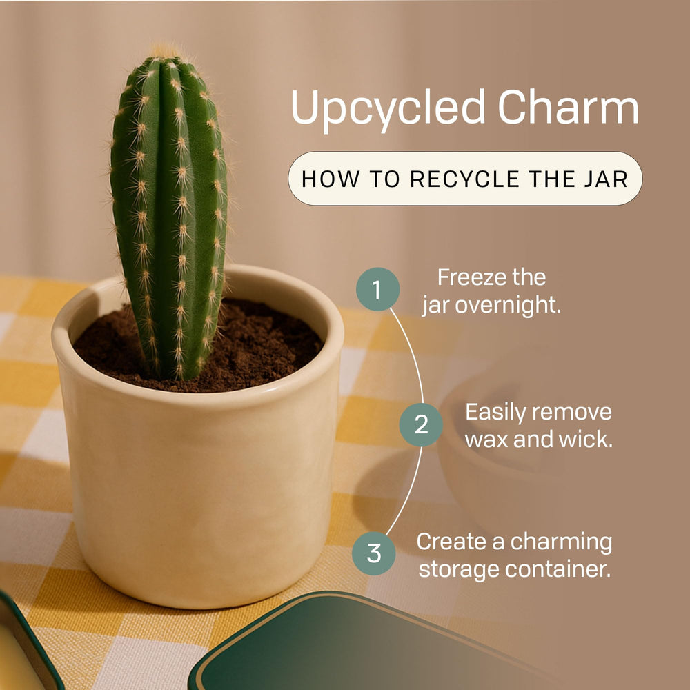 Paddywax Bistro reusable jar encourages upcycling after candle use for storage.
