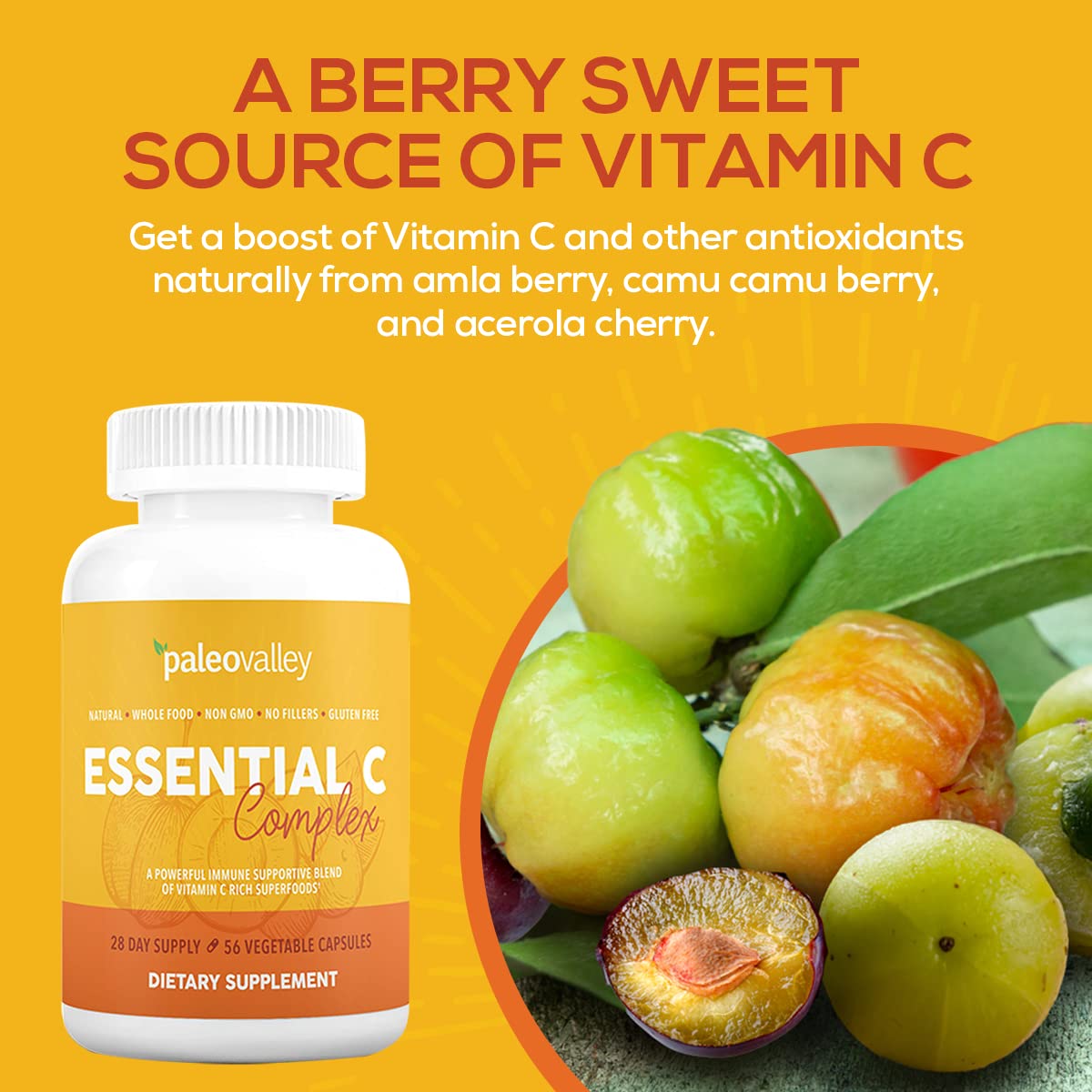 Paleovalley Essential C Complex packaging emphasizes organic ingredients and a clean label