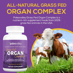 Paleovalley Beef Organ Complex kidney piece, emphasizing selenium-rich organ for immune-friendly nutrition
