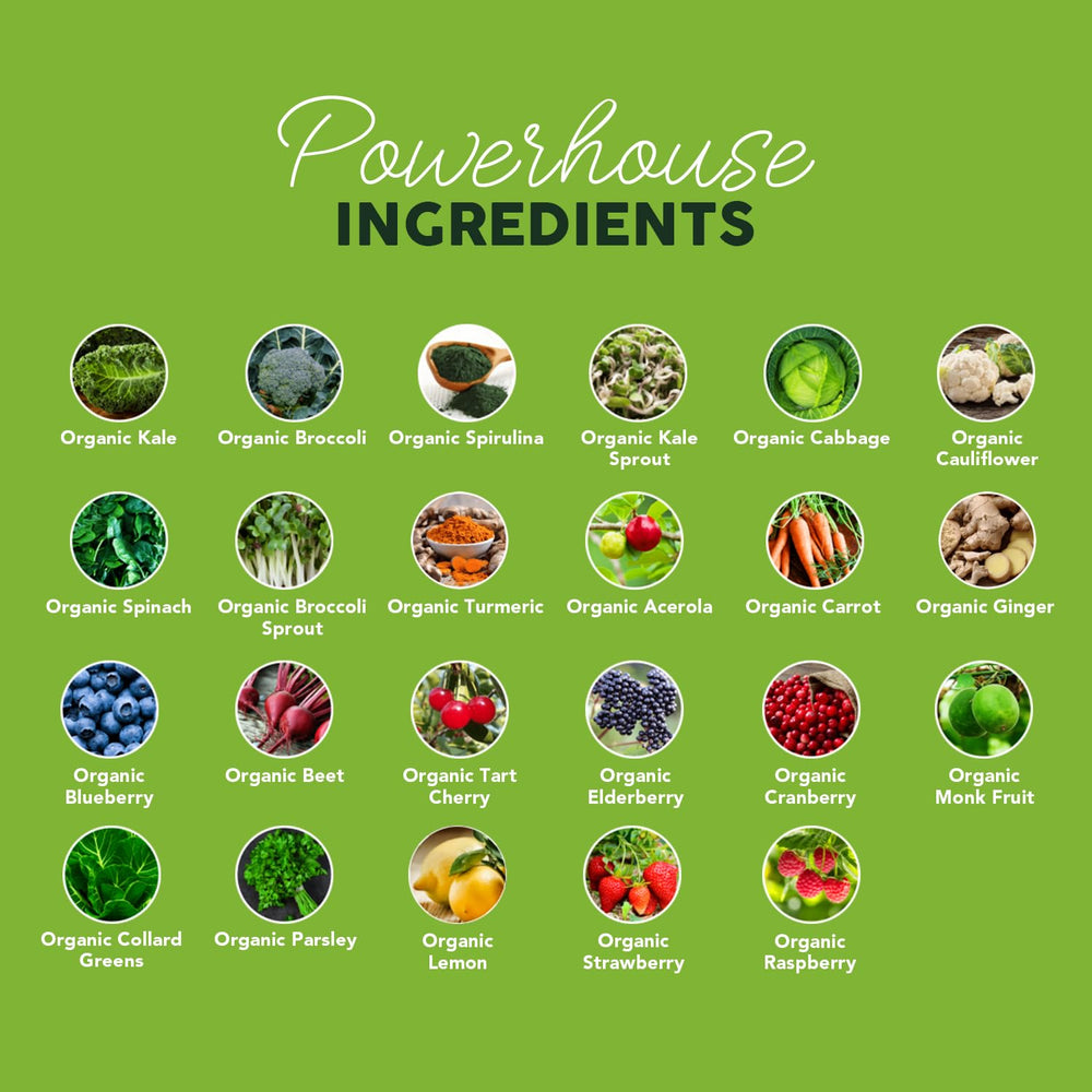 Paleovalley Organic Supergreens no grains claim supports gut-friendly nutrition.