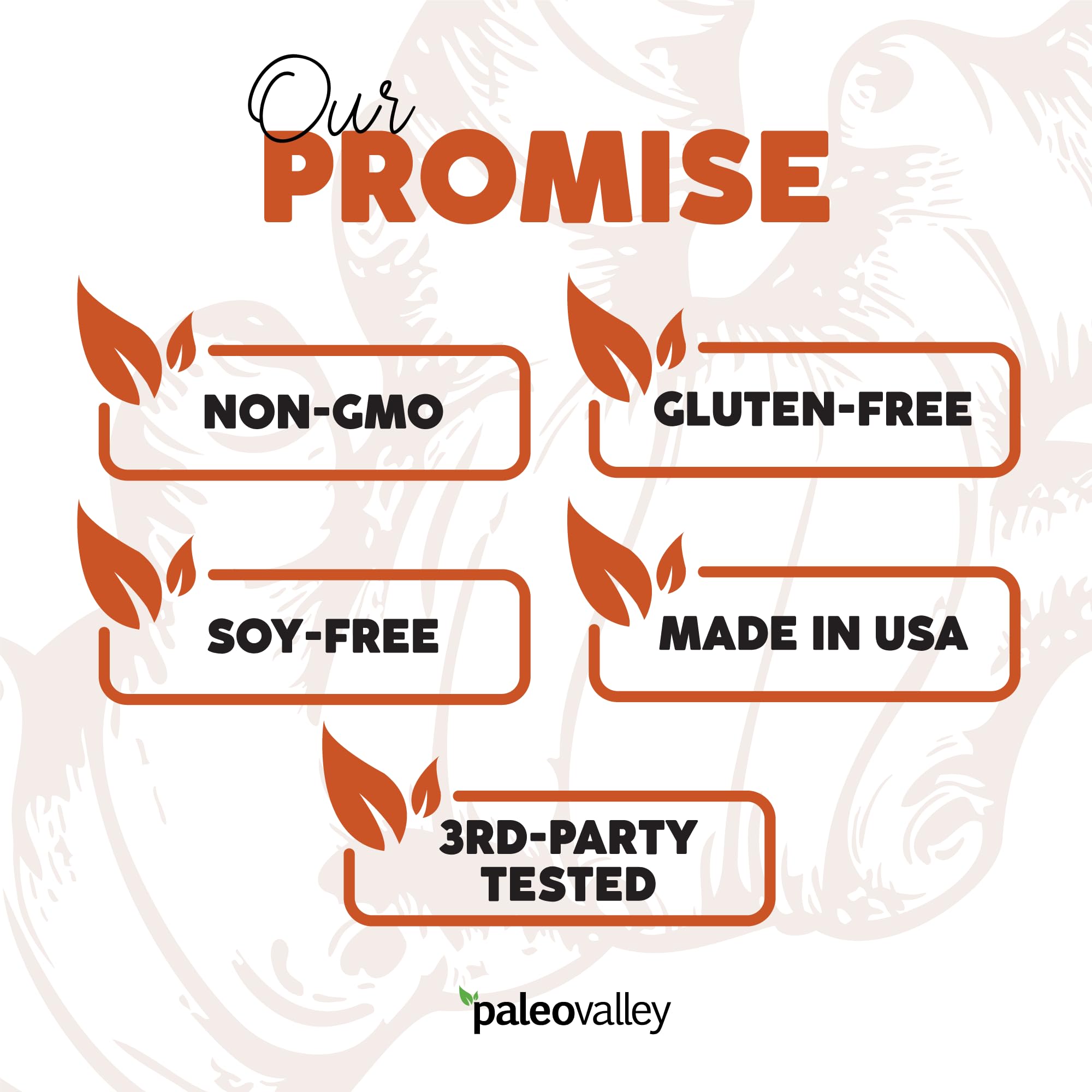 Full-spectrum turmeric with superfoods shown on packaging for visibility.