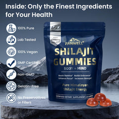 PANWELL Shilajit Gummies featuring minerals and fulvic acid for cellular health.