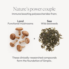 Papillex Simplix capsules closeup emphasizes a pure vegan formula.