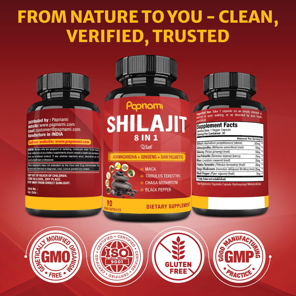 Papnami Shilajit Himalayan capsules energy view: potential daily vitality through mineral blend.