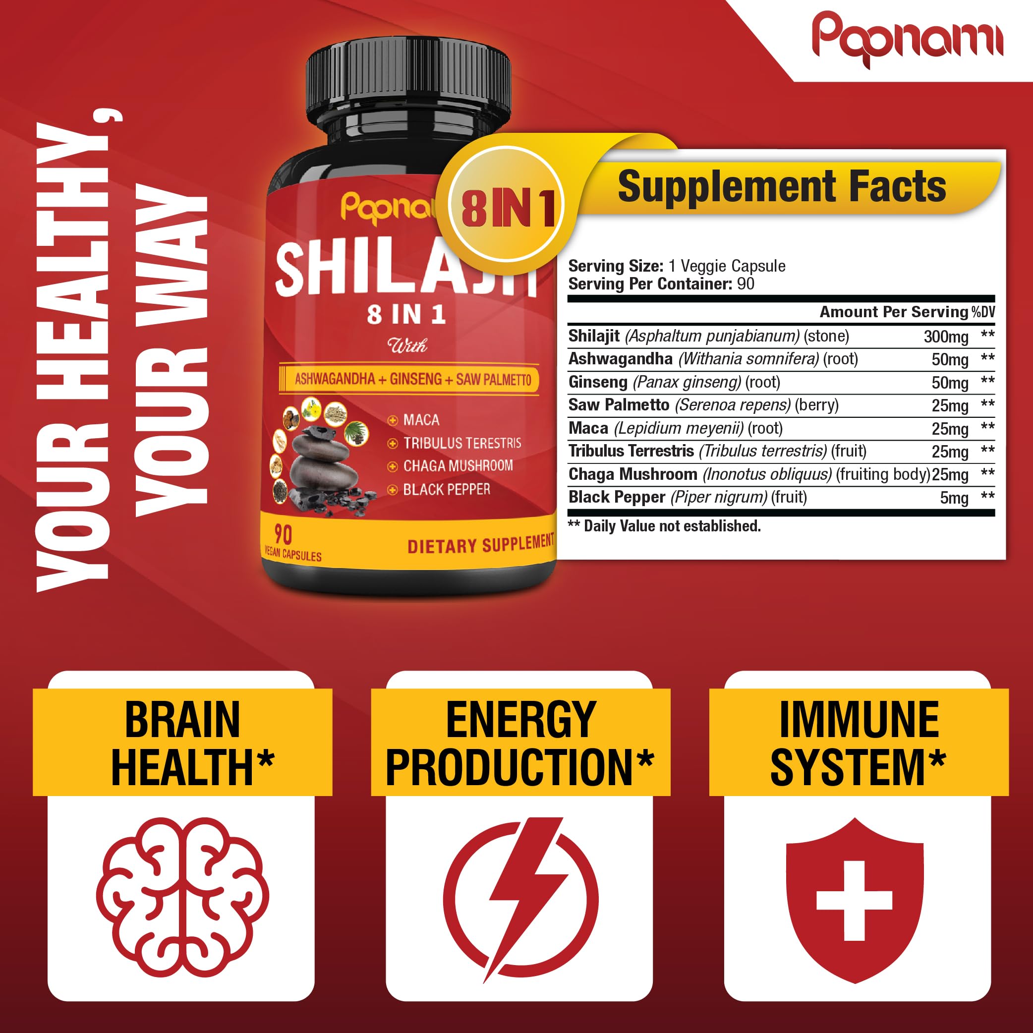 Papnami Shilajit Himalayan capsules packaging box: trusted quality and ingredient overview.