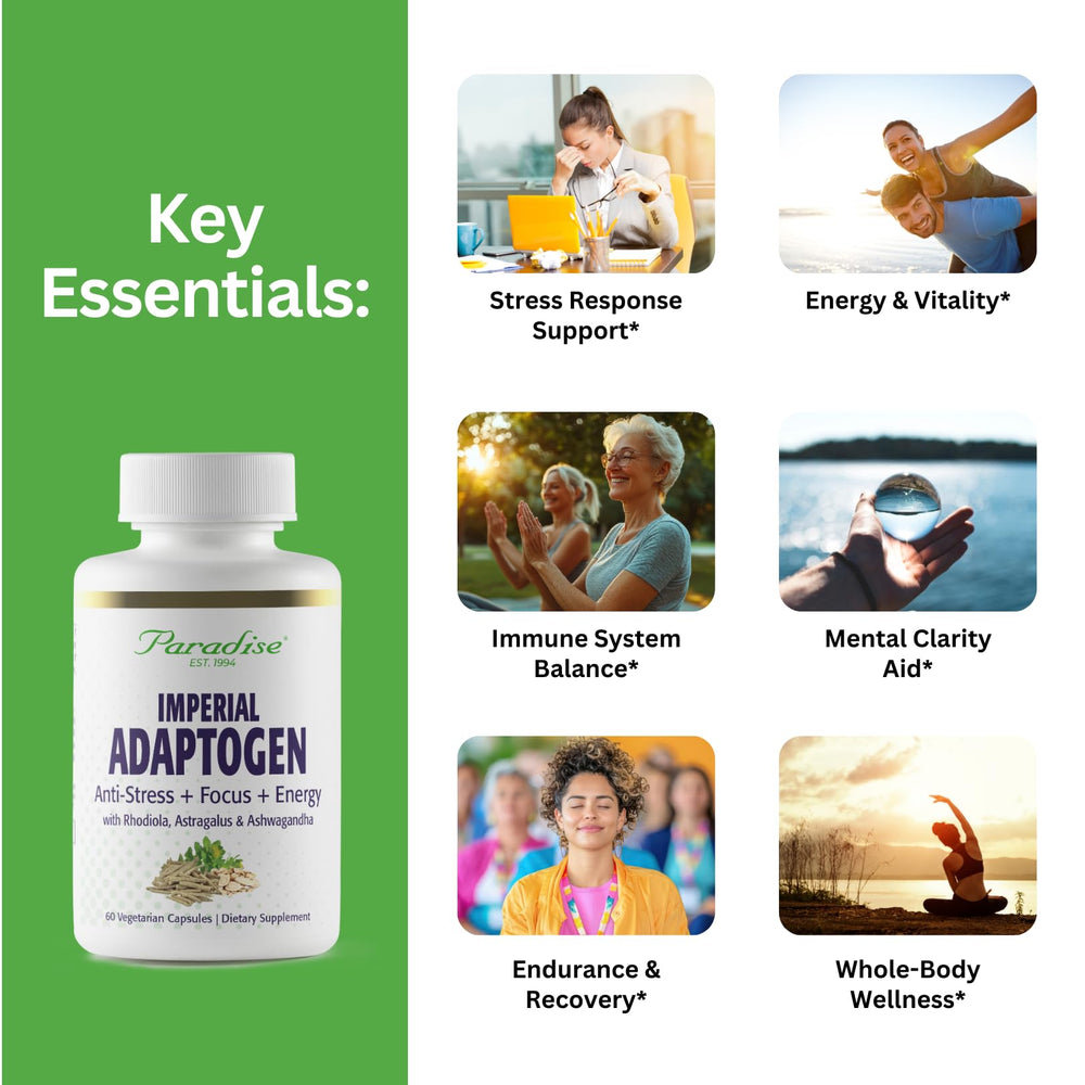 Paradise Herbs Ashwagandha capsules showing calming adaptogens for steady energy