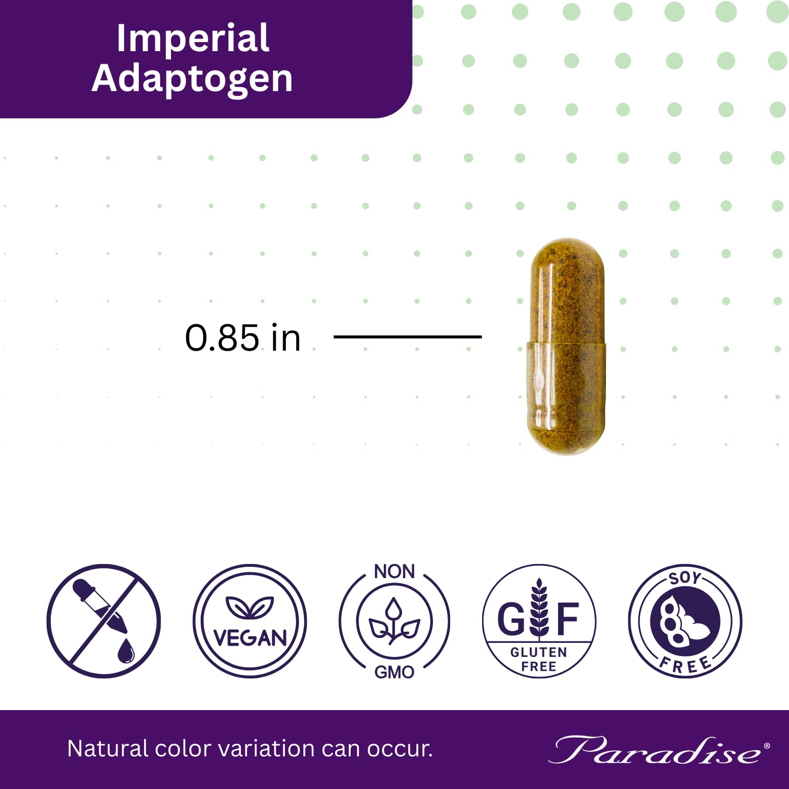 Paradise Herbs Astragalus extract close-up highlighting potent plant compounds