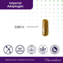 Paradise Herbs Astragalus extract close-up highlighting potent plant compounds