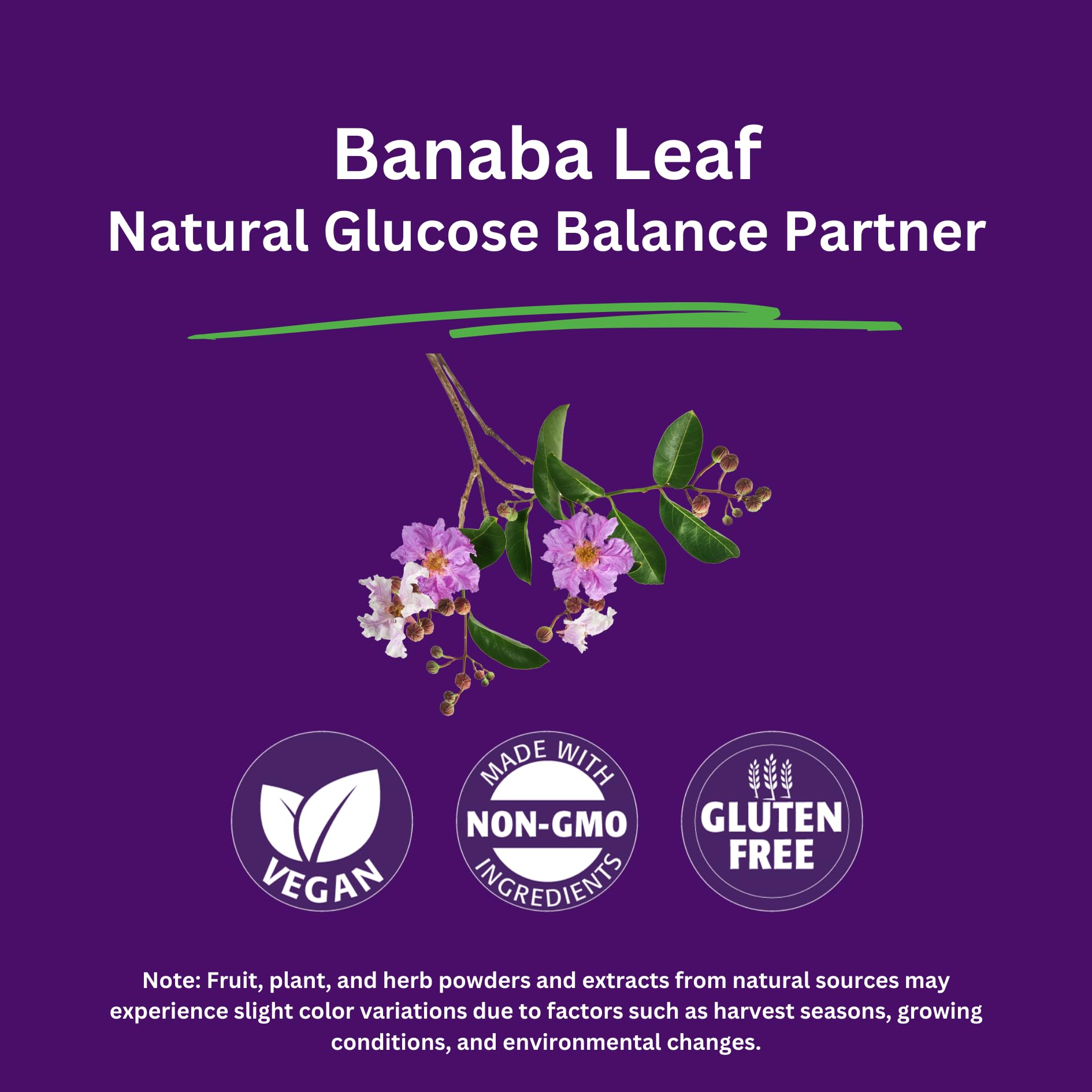 Paradise Herbs Banaba Leaf 12:1 extract packaging shows vegan, gluten-free status.