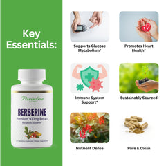 Paradise Herbs Berberine capsules pack for convenient daily use.
