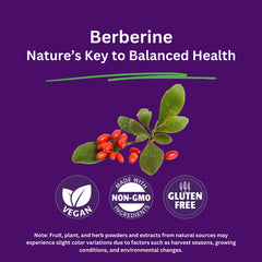 Paradise Herbs Berberine label detail highlighting solvent-free extraction.