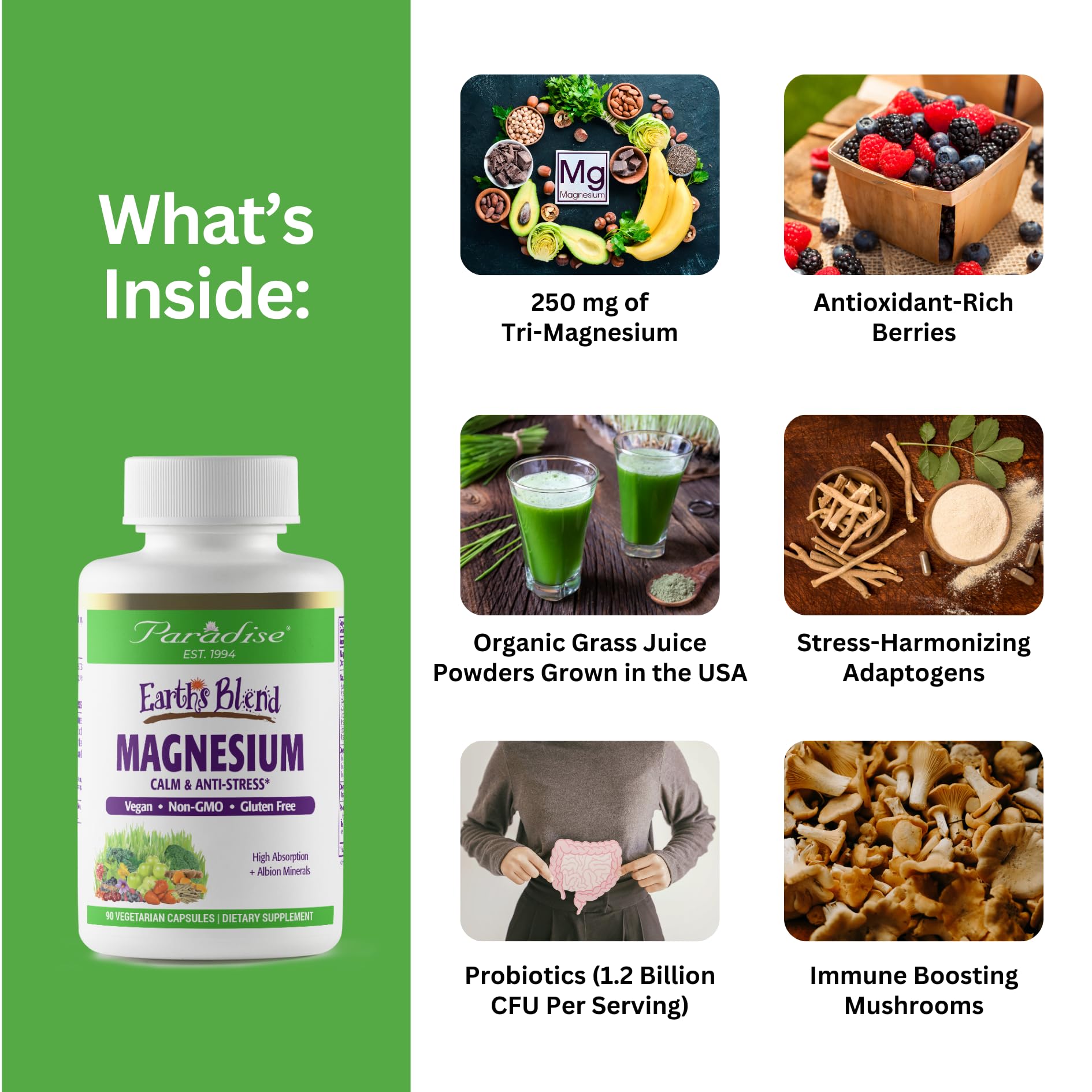 Paradise Herbs Earth's Blend Magnesium capsules shown for nerve function and calm energy