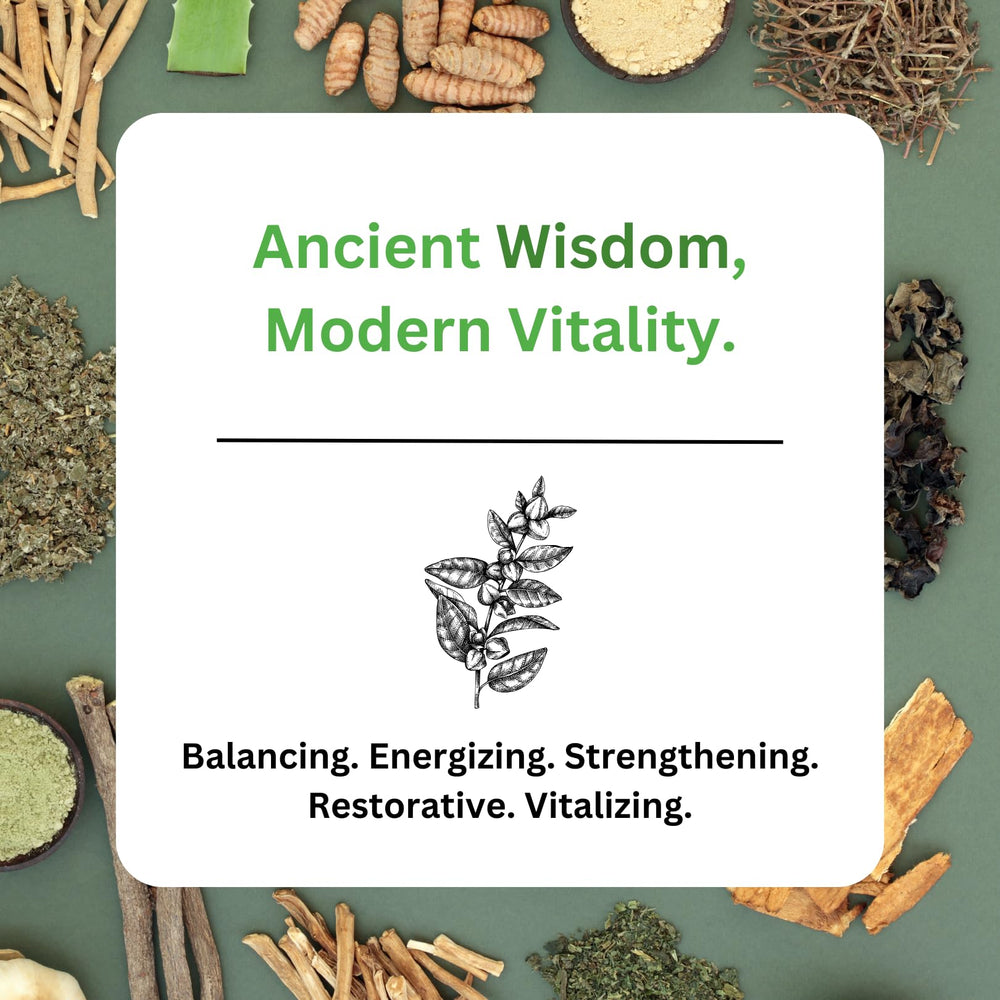 Paradise Herbs full-spectrum extraction process depiction underscores clean solvent-free methods