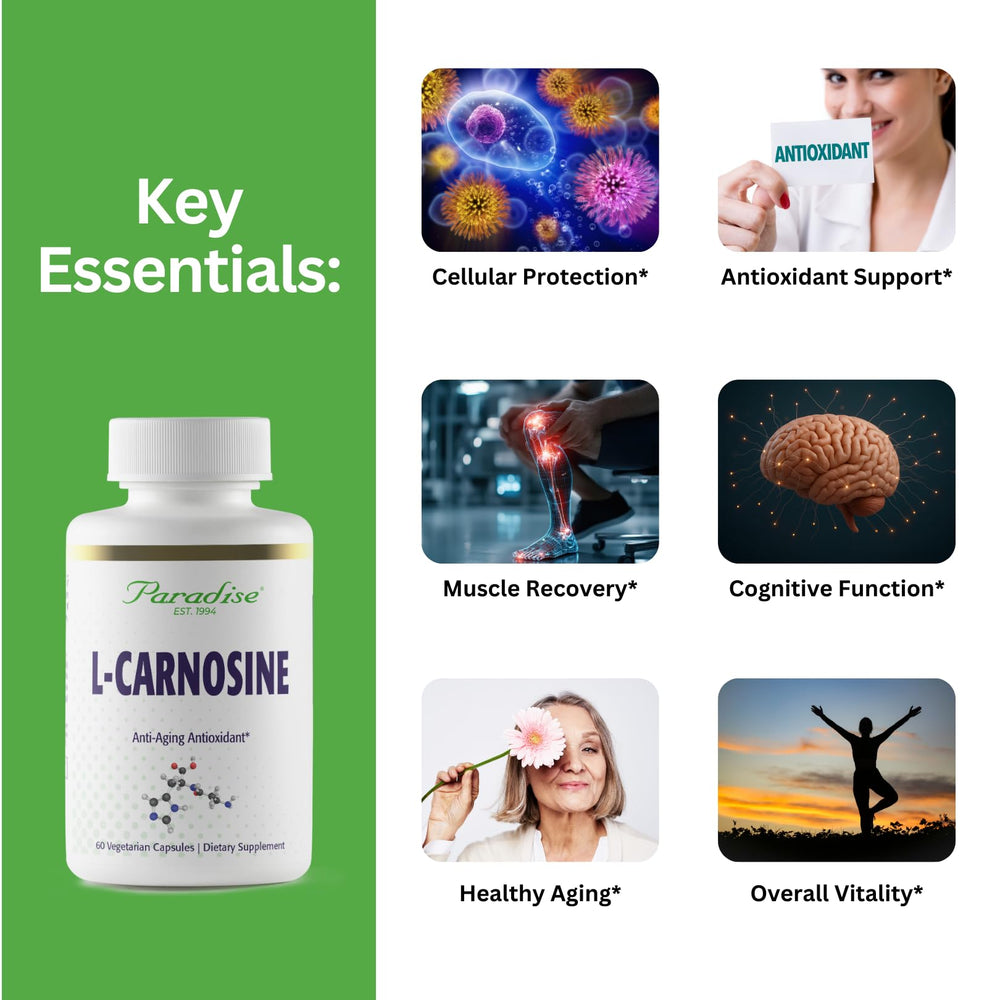 Close-up of Paradise Herbs L-Carnosine capsules showing compact, potent form.