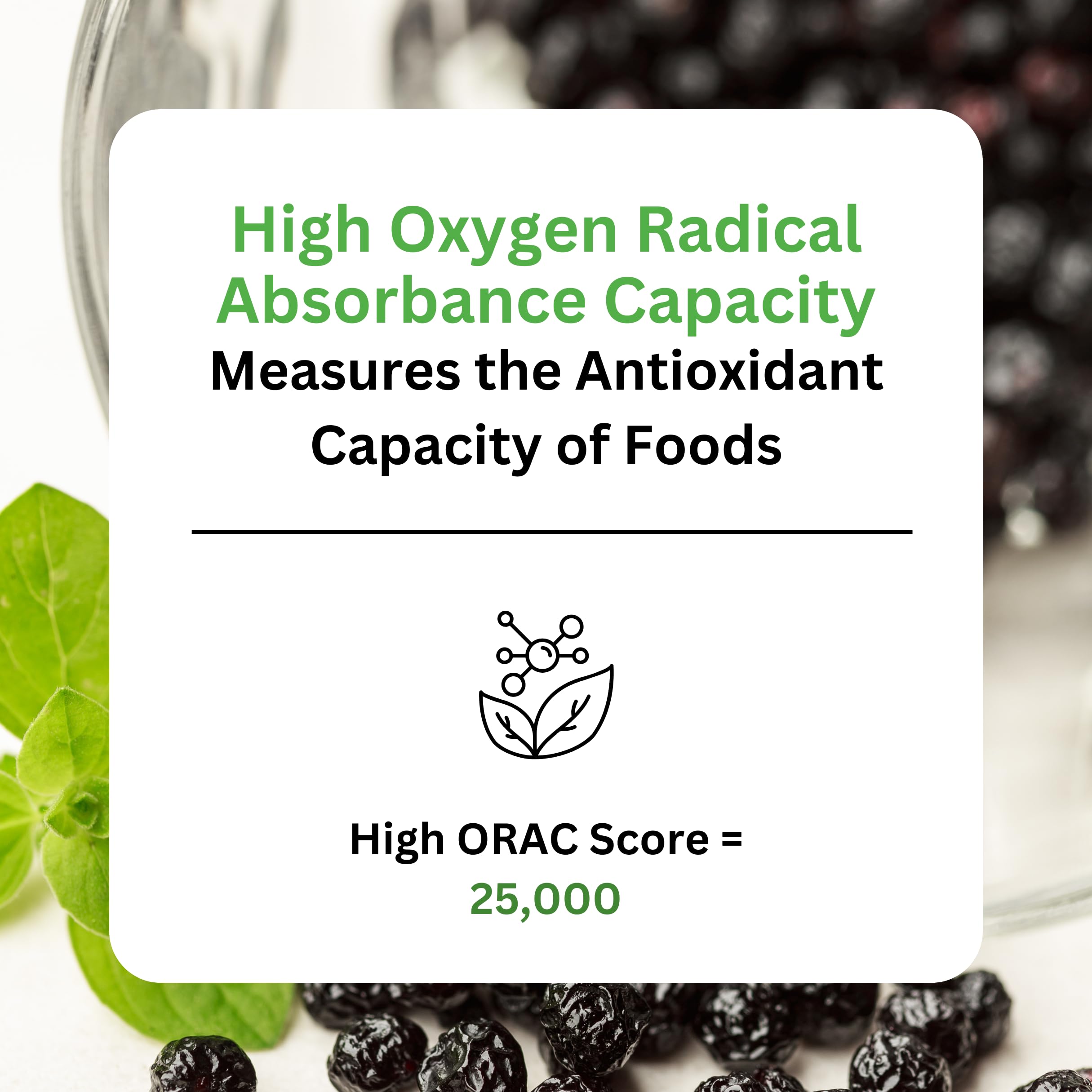 Close-up label detail of Paradise Herbs Maqui Berry Extract highlighting potency.