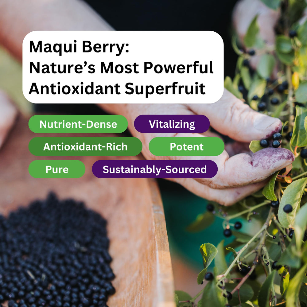 Packaging shot showing tamper-evident seal for trusted quality on Paradise Herbs Maqui Berry Extract.