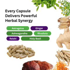 Paradise Herbs Rhodiola roots image signaling mood balance and mental clarity