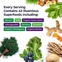 Paradise Herbs Spirulina-Chlorella bottle highlights nutrient-dense greens for everyday energy