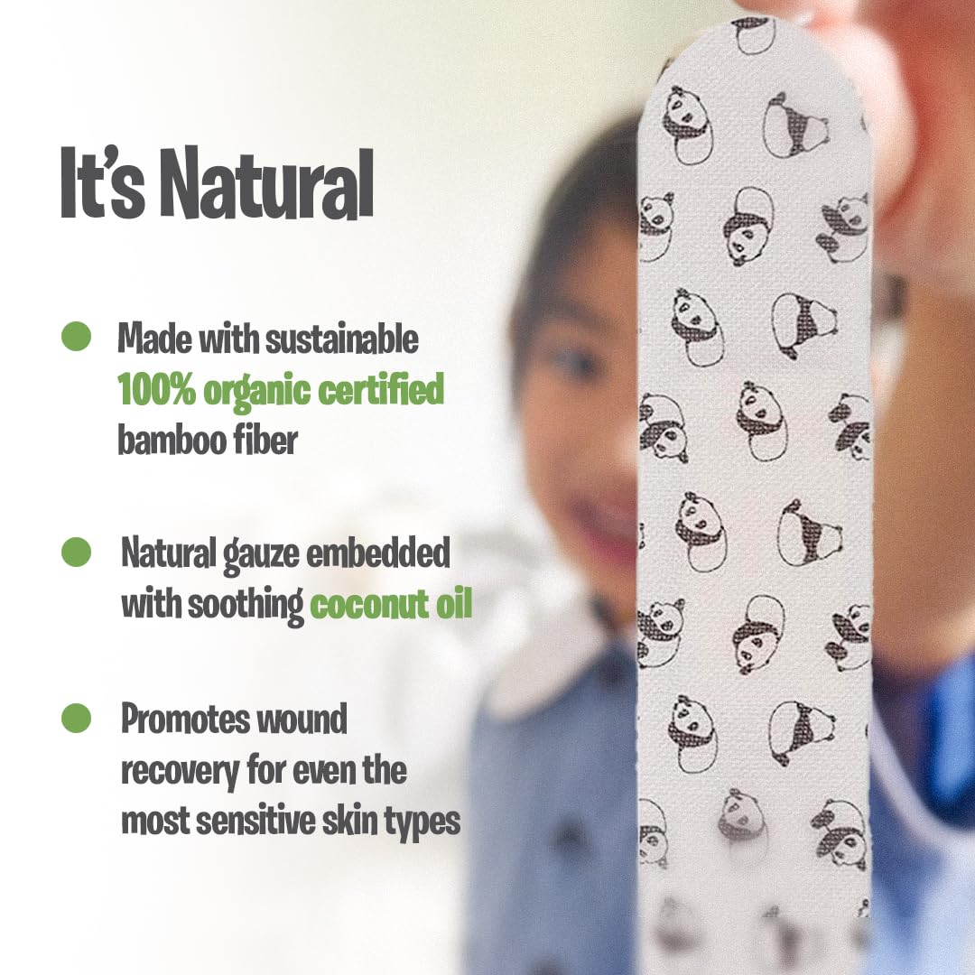 PATCH compostable biodegradable bandages in garden soil context