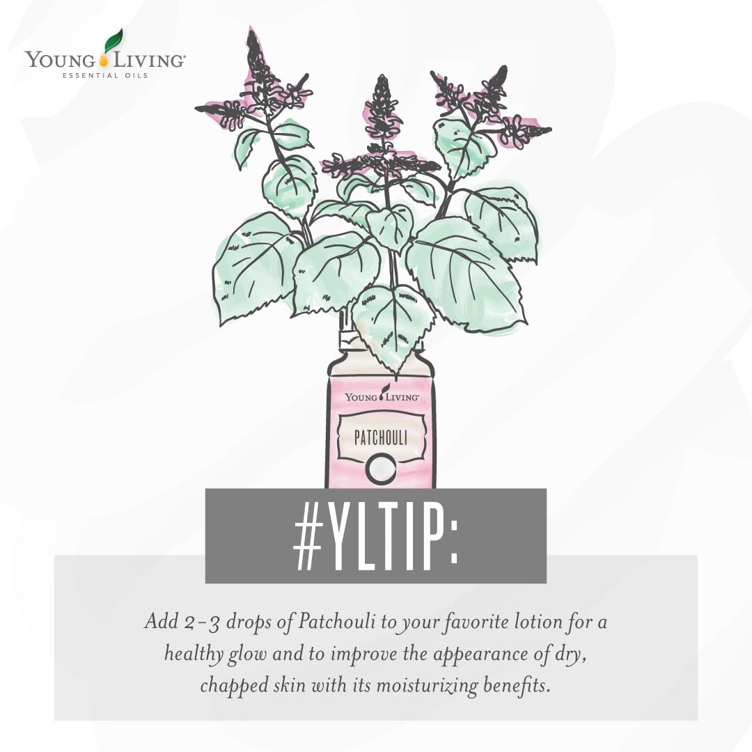Patchouli essential oil diffuser setup for a tranquil home atmosphere.