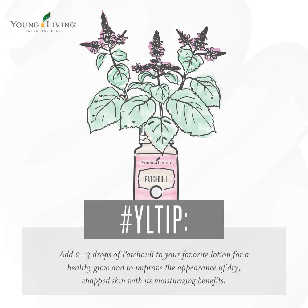 Patchouli essential oil diffuser setup for a tranquil home atmosphere.