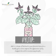 Patchouli essential oil diffuser setup for a tranquil home atmosphere.