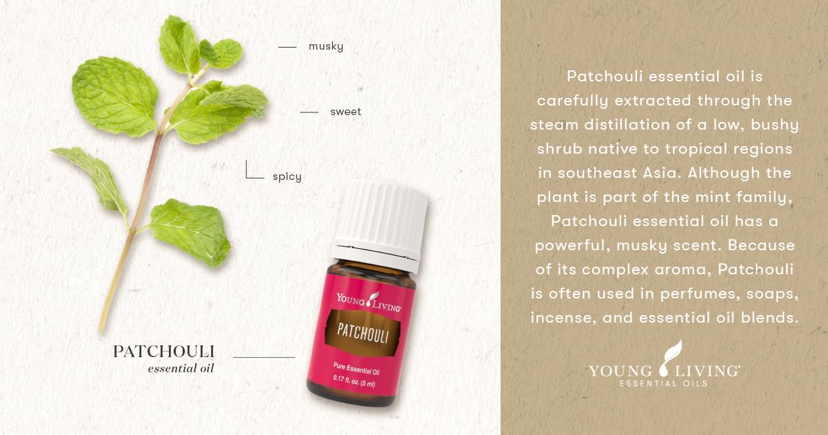 Close-up of Patchouli essential oil highlighting natural earthy tones and aroma.