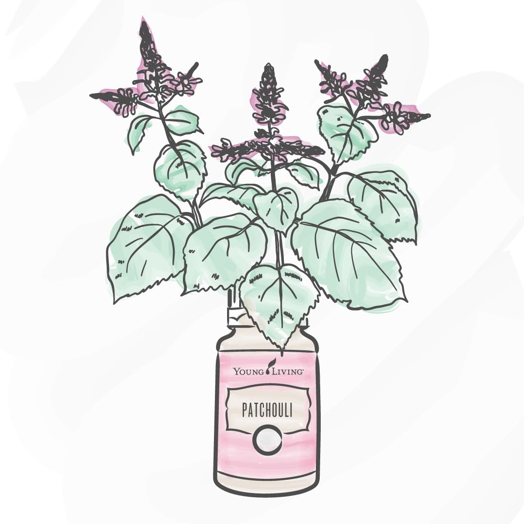 Young Living Patchouli oil for skin-care routines with a soothing scent.