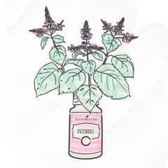 Young Living Patchouli oil for skin-care routines with a soothing scent.