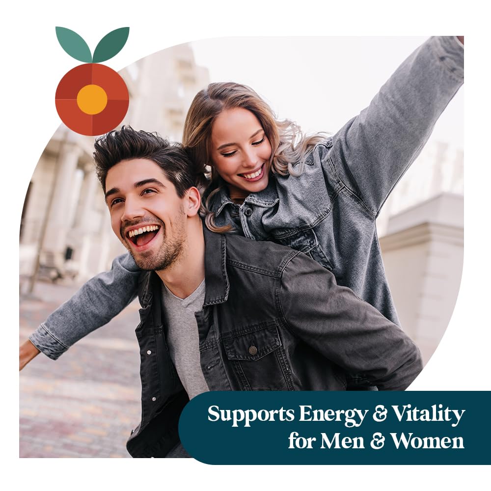 Pattern Wellness bottle of 60 vegan non-GMO capsules ready for daily use