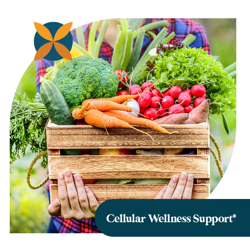 Pattern Wellness gluten-free badge emphasizes safe, plant-based support in a daily routine.
