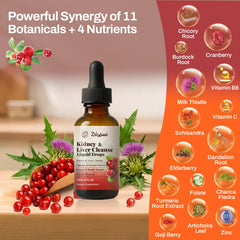 Pavintrix Kidney Cleanse Drops cranberry extract visual highlighting PACs