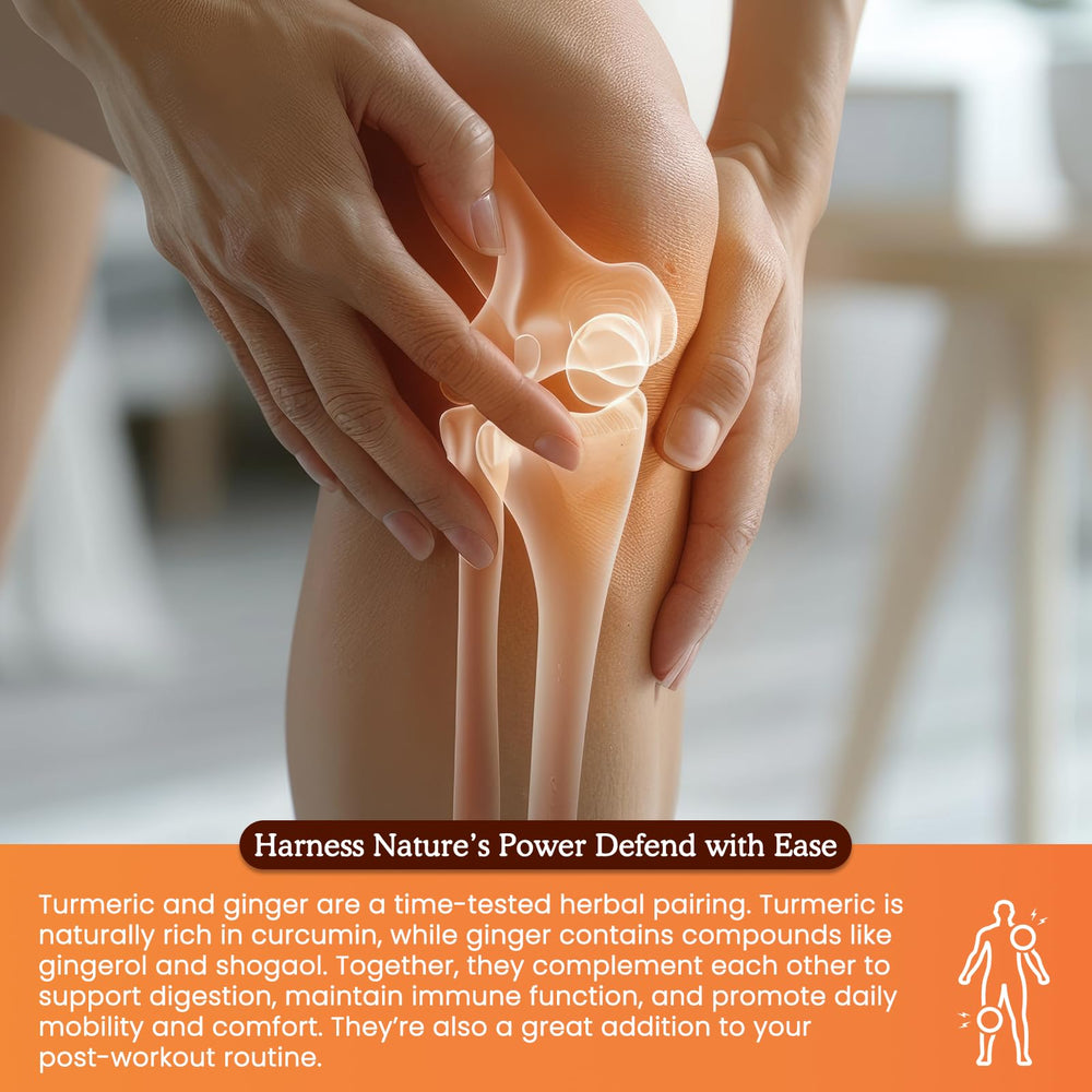 PAYAOCZ ginger extract drops bottle supports digestion and post-workout comfort