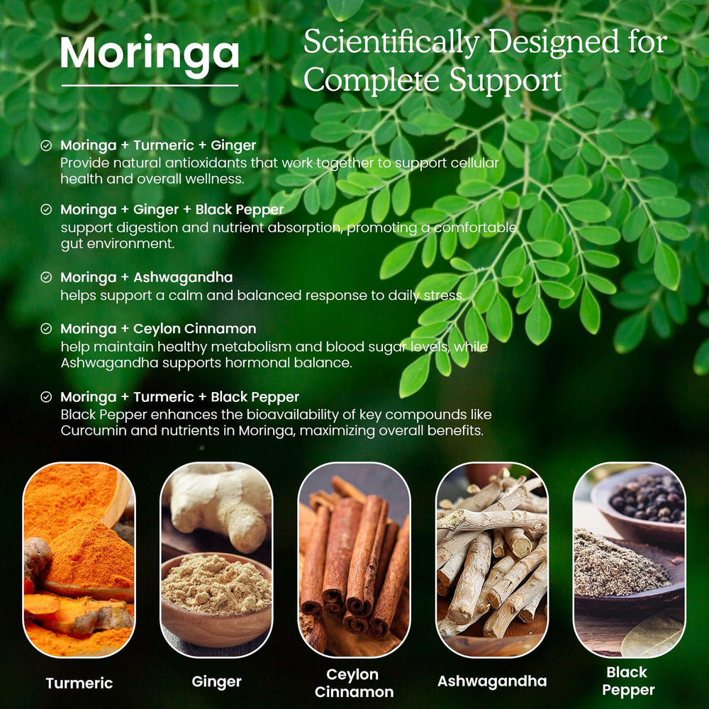 PAYAOCZ bottle with turmeric and ginger visuals underlining antioxidant-rich ingredients