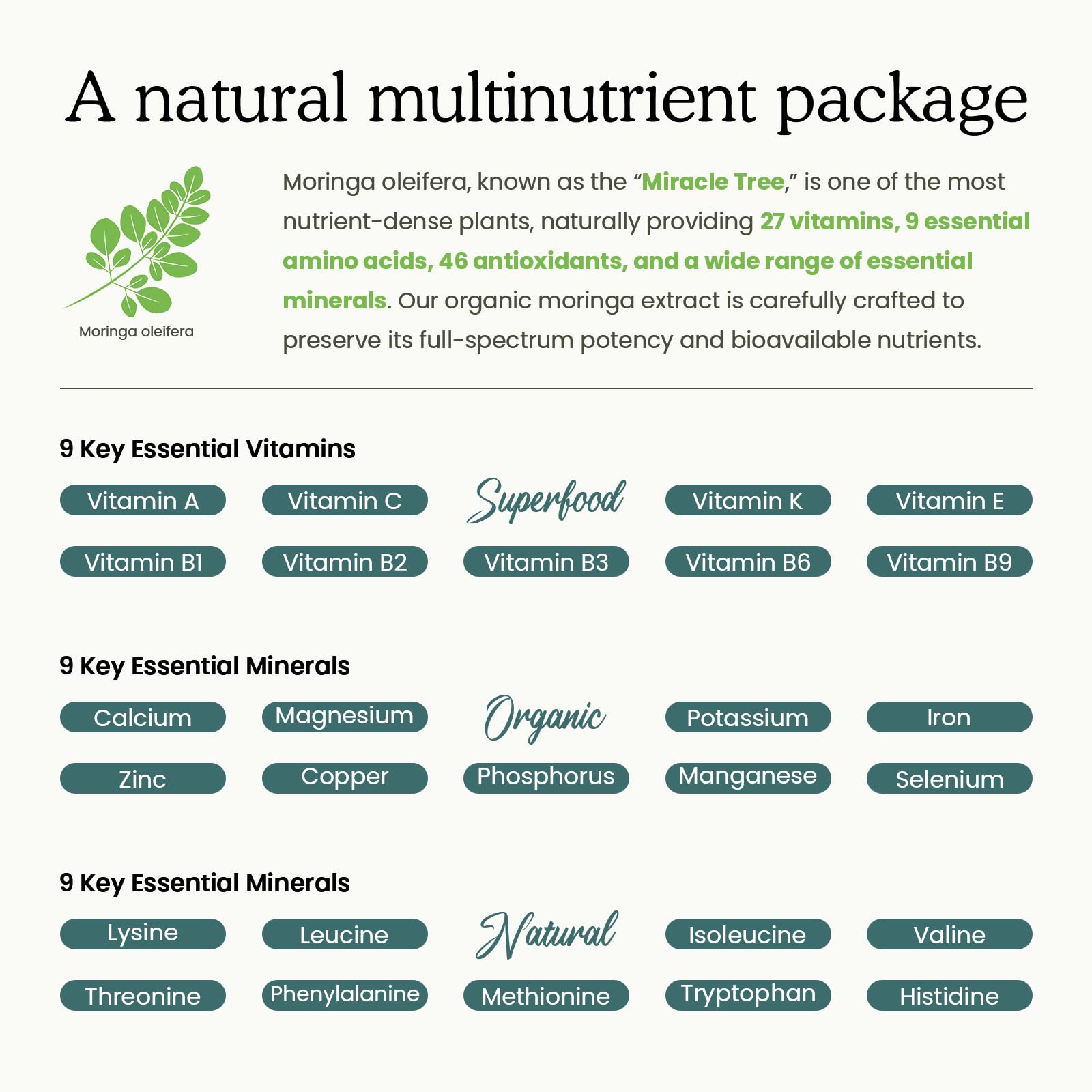 PAYAOCZ moringa-turmeric blend label showcasing antioxidants and botanicals