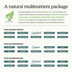 PAYAOCZ moringa-turmeric blend label showcasing antioxidants and botanicals