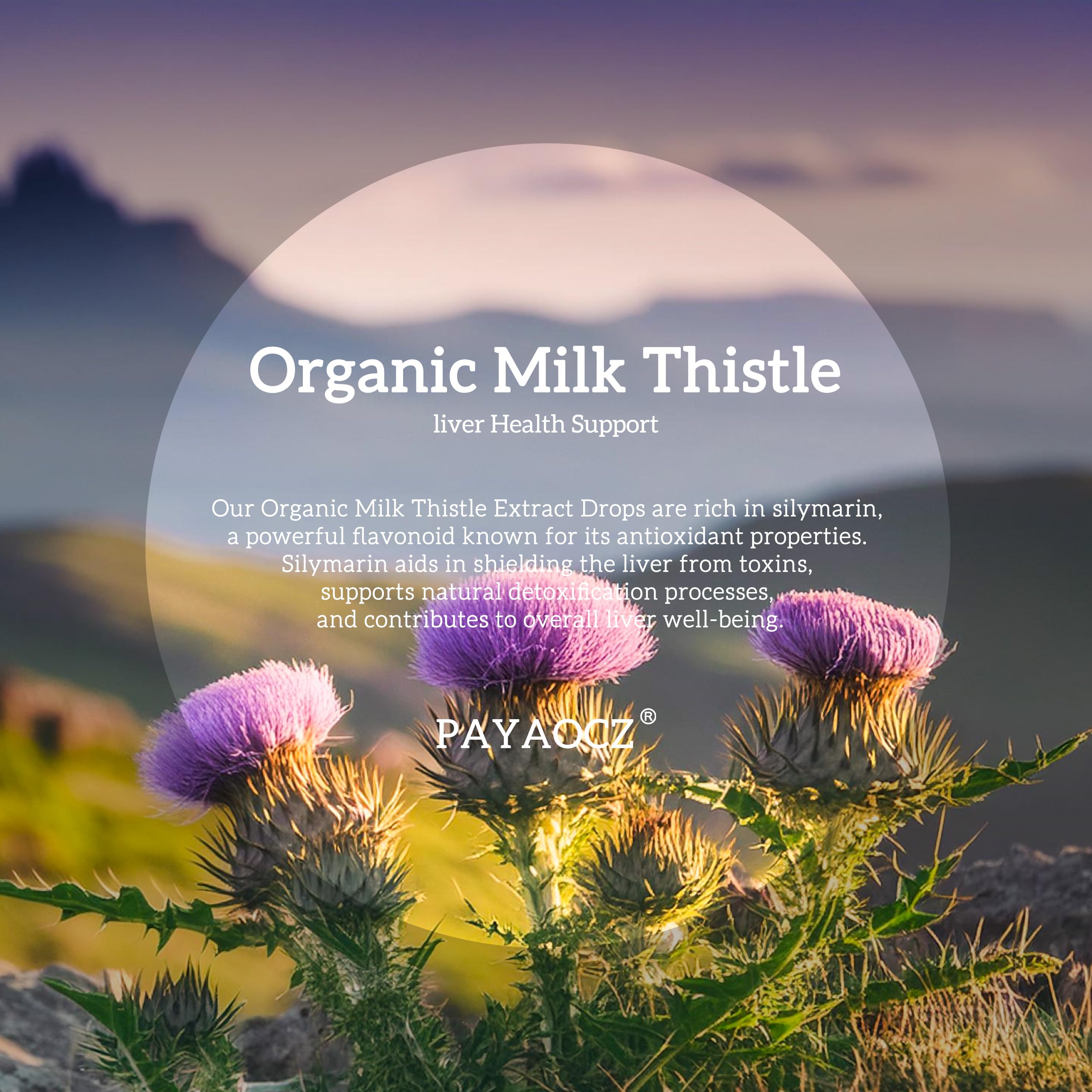 PAYAOCZ organic blend of dandelion and artichoke as part of the formula.