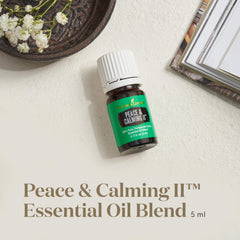 Peace Calming II diffusing scene in a cozy living room
