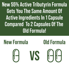 CoreBiome Tributyrin capsule close-up showing precise daily dose.